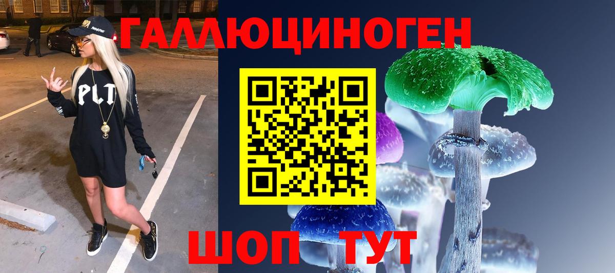 цена   Вход с VPN  Отрадный  Псилоцибиновые грибы мицелий  Псилоцибиновые грибы Psilocybe 